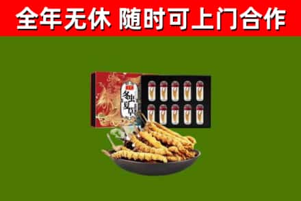 沈阳市烟酒回收冬虫夏草礼盒.jpg